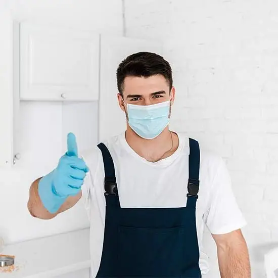 Pest control experts Berwick